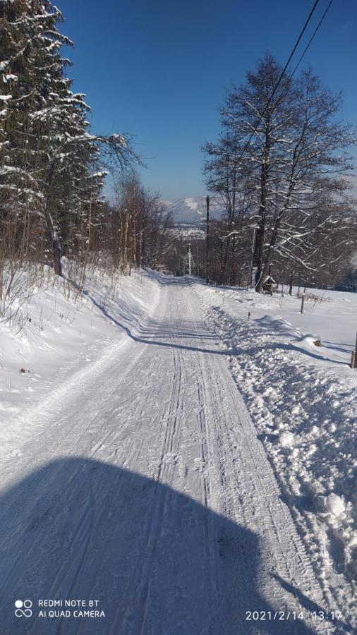 Zdenko S Wellness
